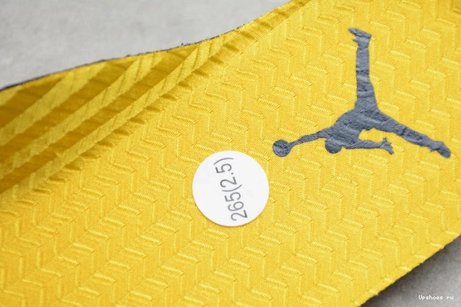 5 CQ9541-704 'Michigan' Air Jordan 0731